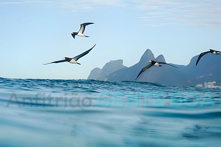 Ipanema x Copacabana Novo Lindo!